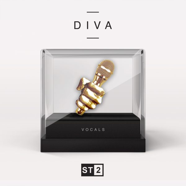 DIVA (Vocals) DIVA (Vocals)